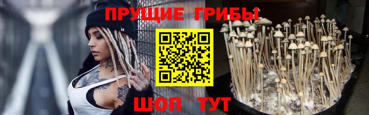 Галлюциногенные грибы Magic Shrooms  Вход с VPN  Дзержинский 