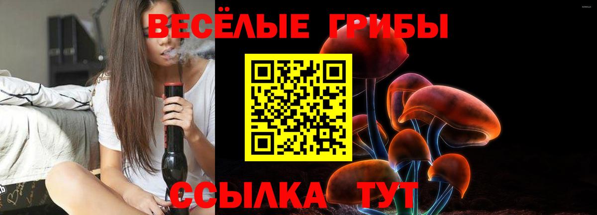 Псилоцибиновые грибы Psilocybine cubensis Дзержинский